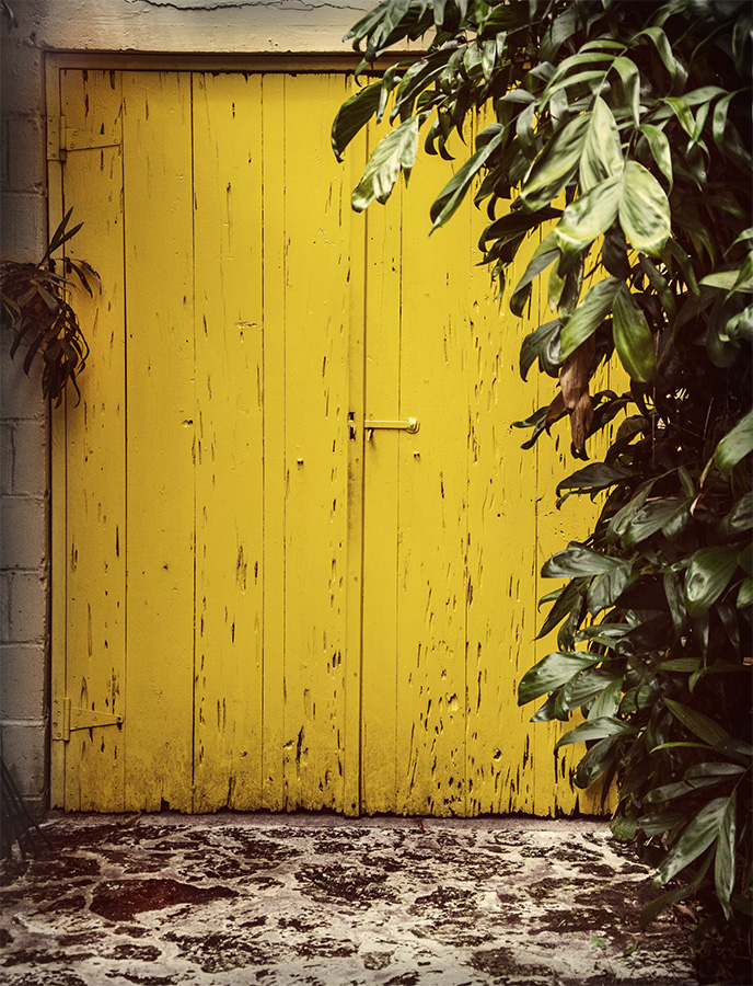 Through the Yellow Door