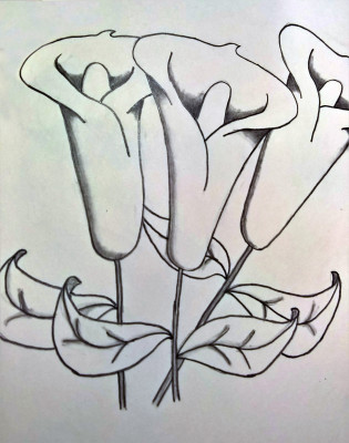 Drawing_Flowers