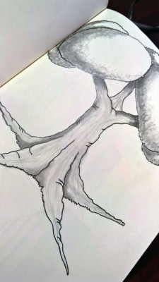Drawing_Tree